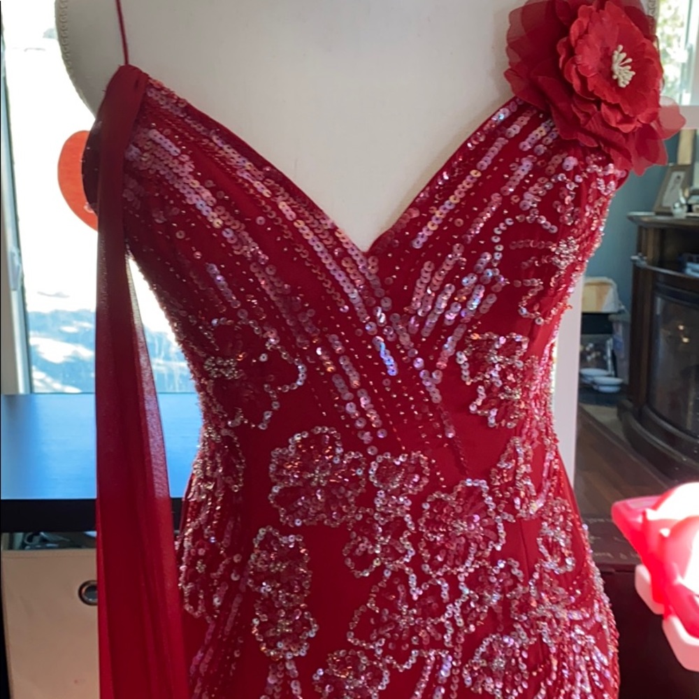 Red gown - Picture 3 of 12